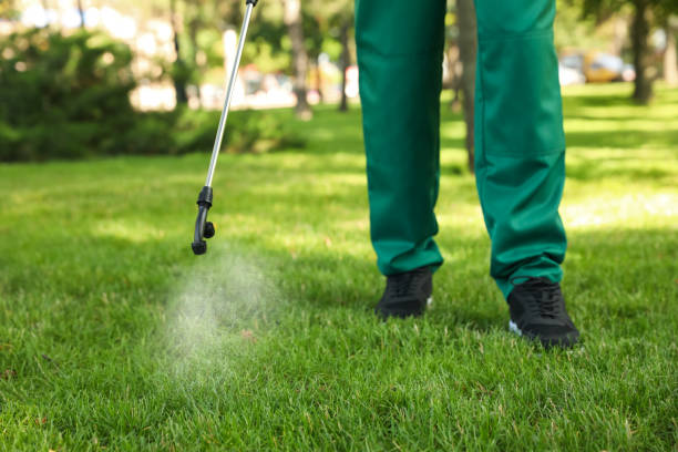 Best Cockroach Control Services  in Black Diamond, WA